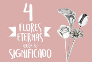 4 Flores Eternas y Su SIgnificado en el Día del Amor