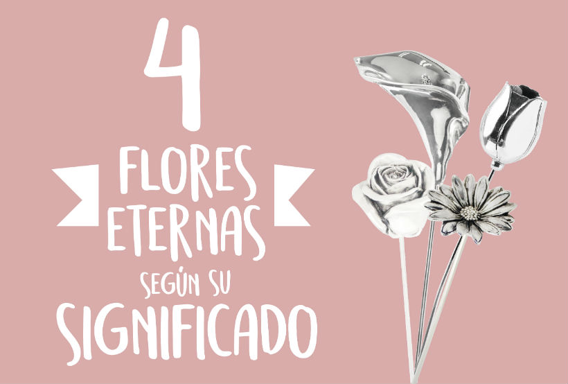 Cuatro Flores Eternas Según su Significado en el Día de San Valentín |  Argentaria
