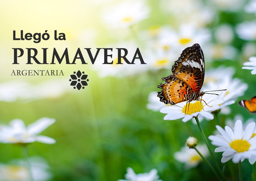 Llegó la primavera