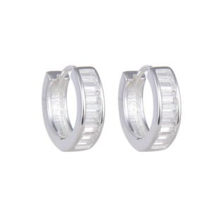 Aretes Circones - Plata