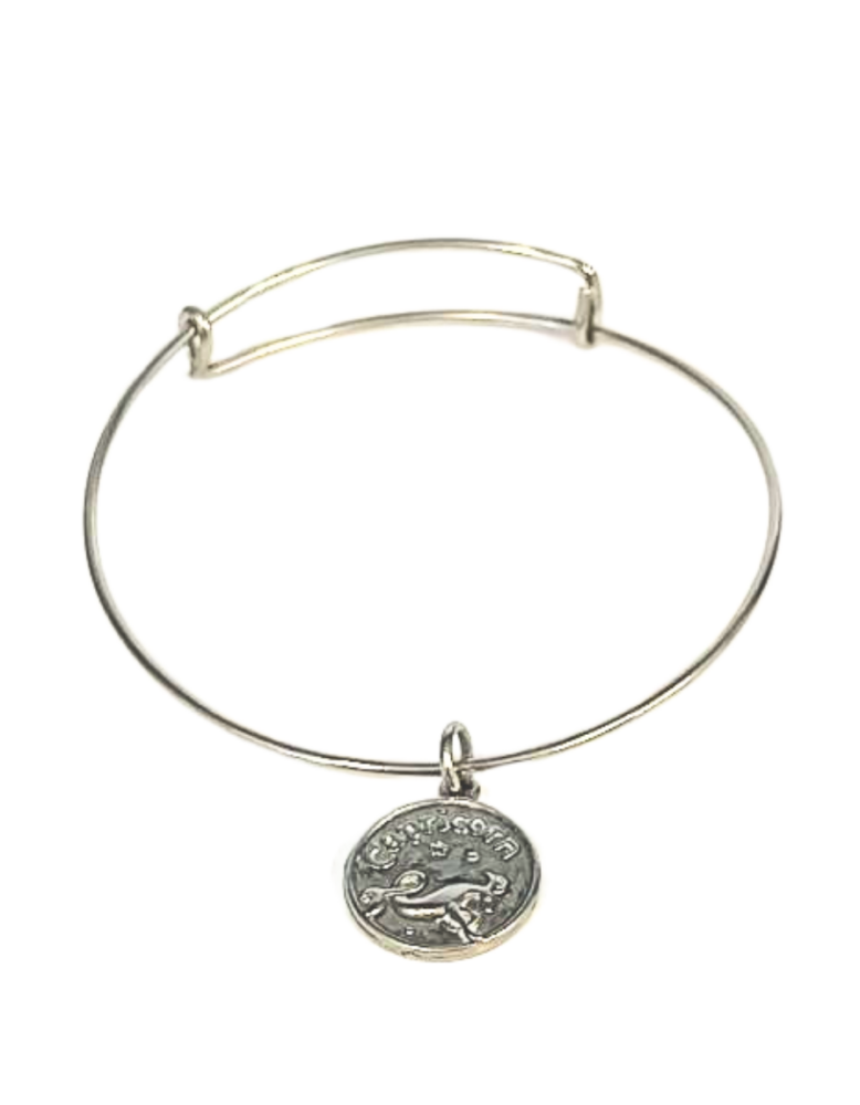 Pulsera Signo Zodiacal (Capricornio)