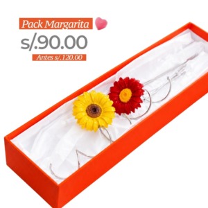 Pack Margarita con Rizo - Resina