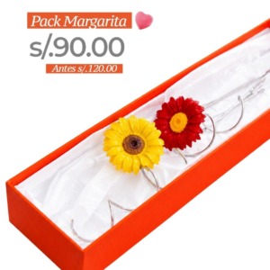 Pack Margarita con Rizo - Resina
