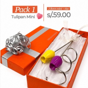 Pack Tulipanes Mini - Resina