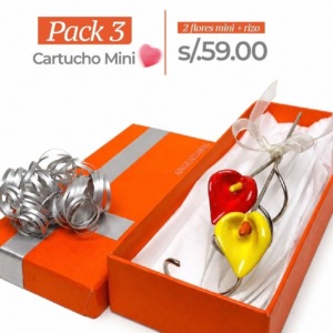 Pack Cartuchos Mini - Resina
